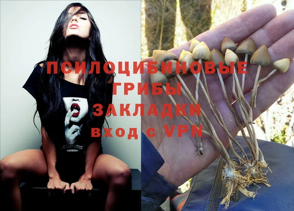 метадон Алзамай